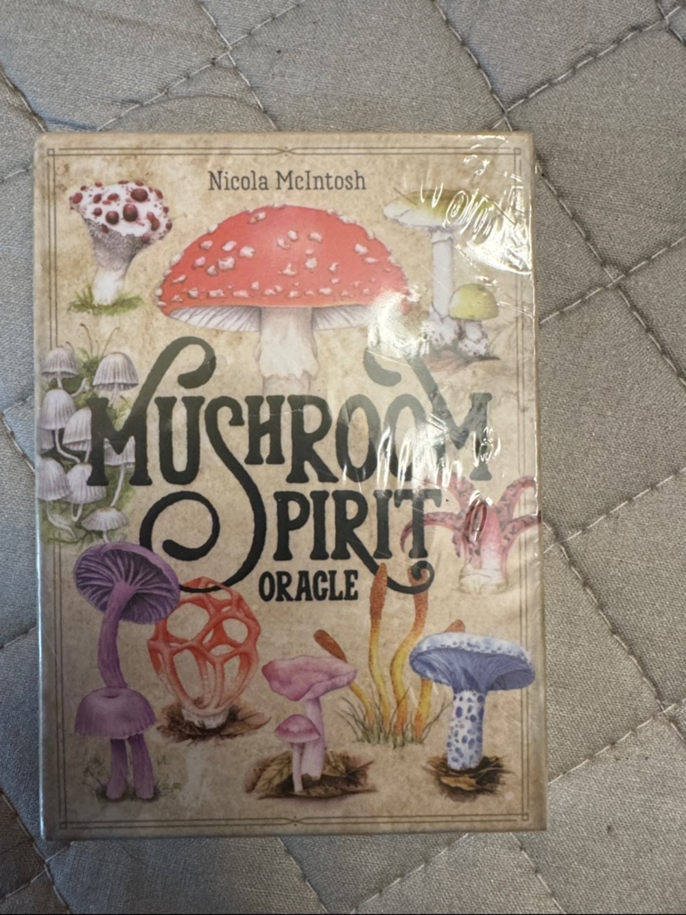 Mushroom Spirit Oracle informative deck of cards. 36 cards and guidebook.
Nib